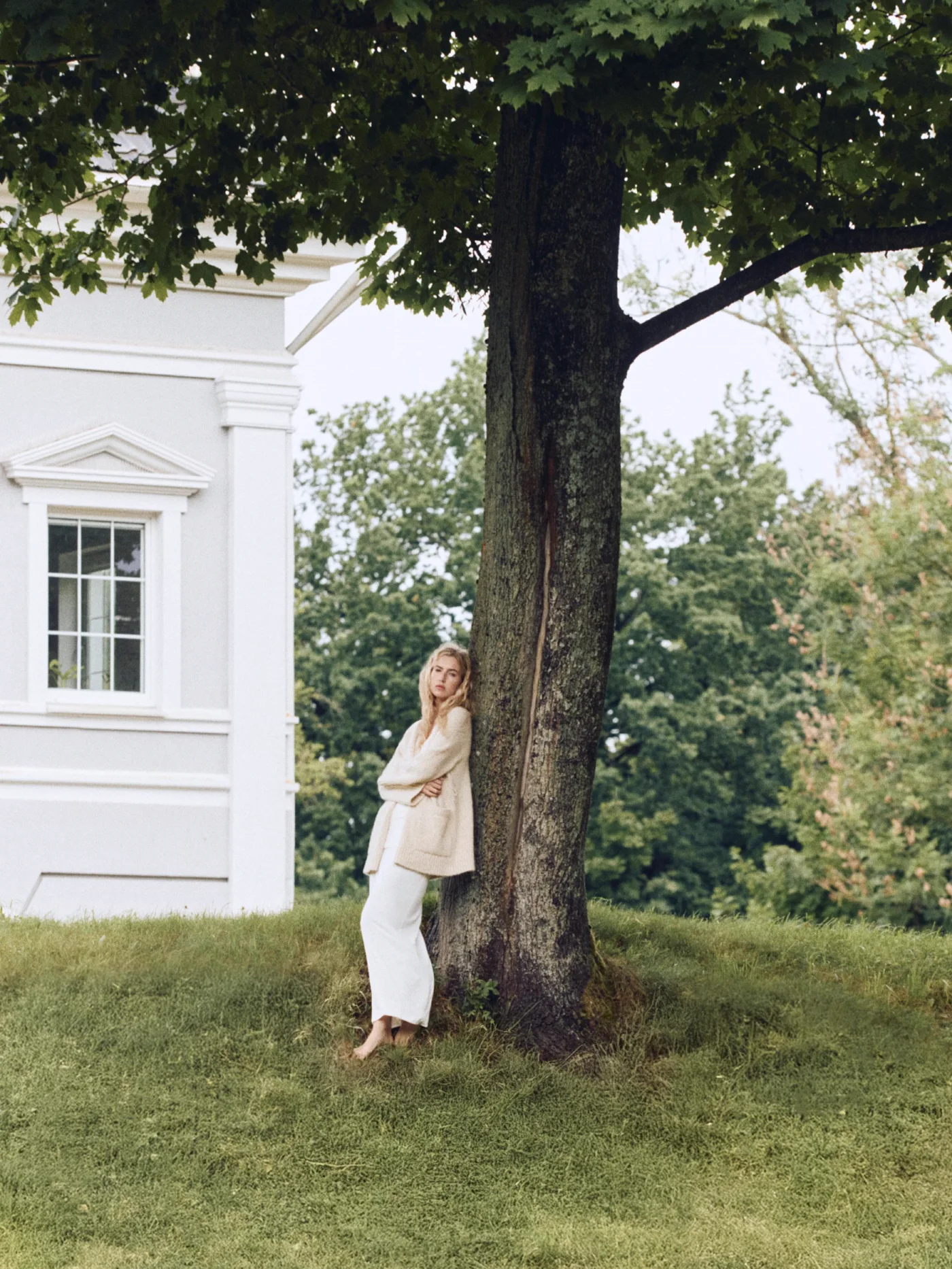 By the old tree