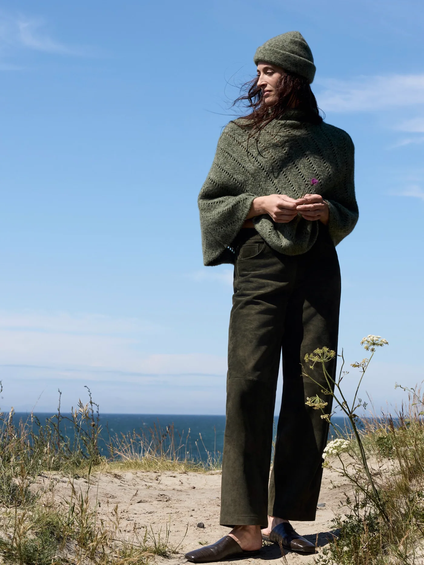 A flower on the dune