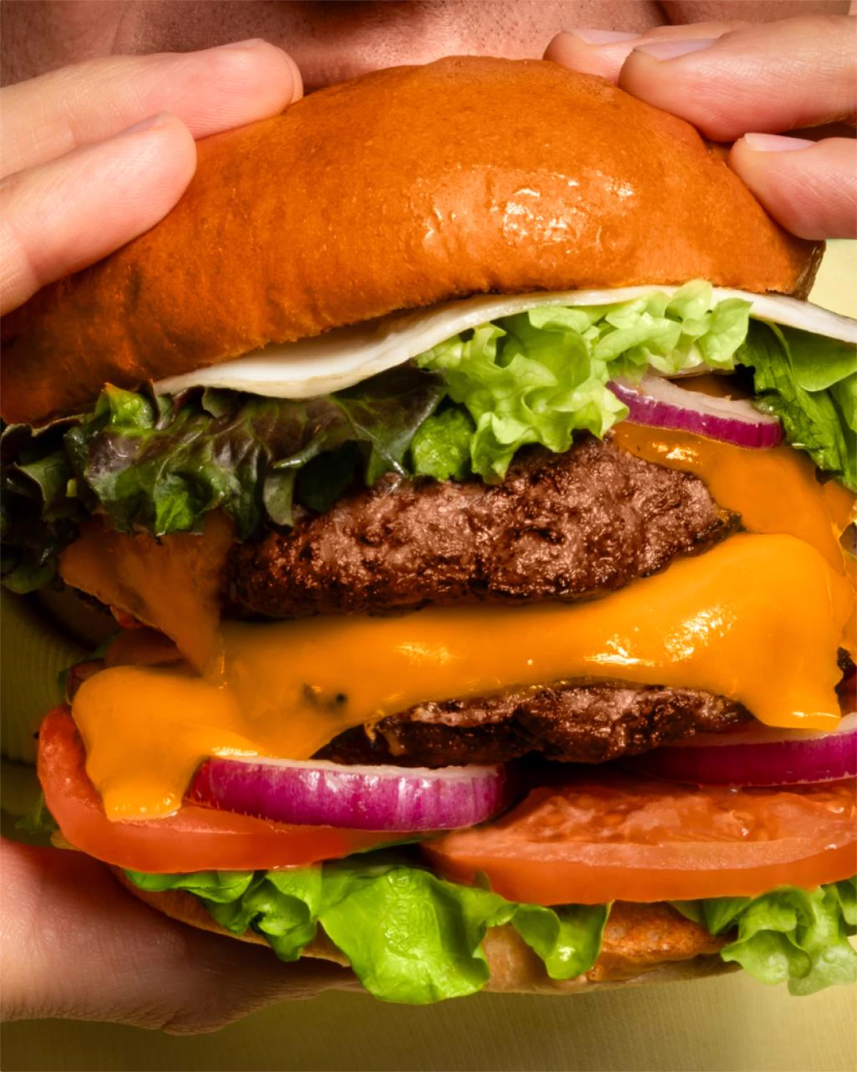 The burger in close-up